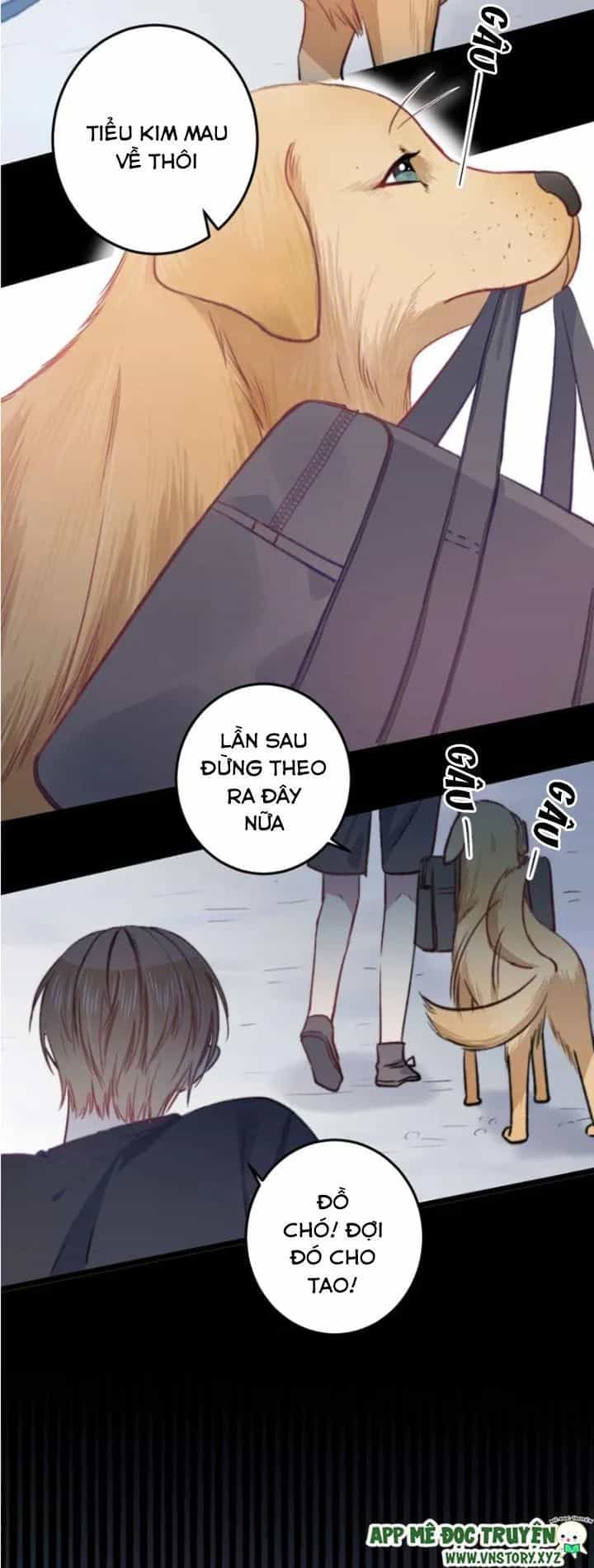 Tình Yêu Huyết Ma - Chương 19 - ảnh 18