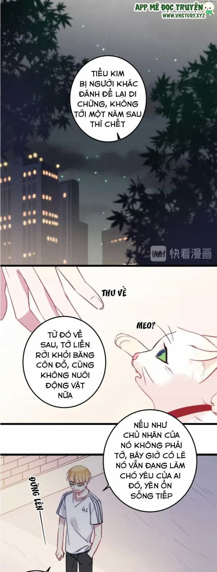 Tình Yêu Huyết Ma - Chương 19 - ảnh 20