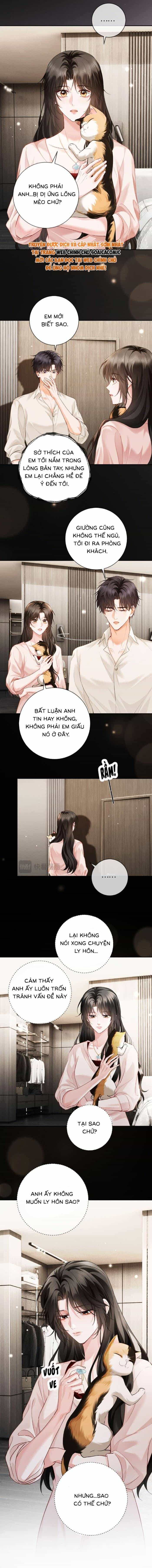 Tình Yêu Muộn Màng - Chương 11 - ảnh 5