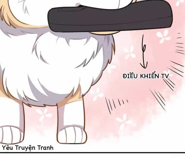 Tình Yêu Trên Cùng Một Dòng - Chương 3.1 - ảnh 15