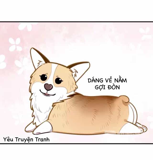 Tình Yêu Trên Cùng Một Dòng - Chương 3.1 - ảnh 18