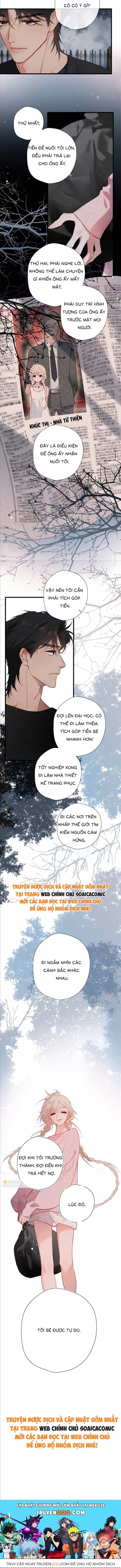 Tố Hồi Xuân Thời - Chương 31 - ảnh 6