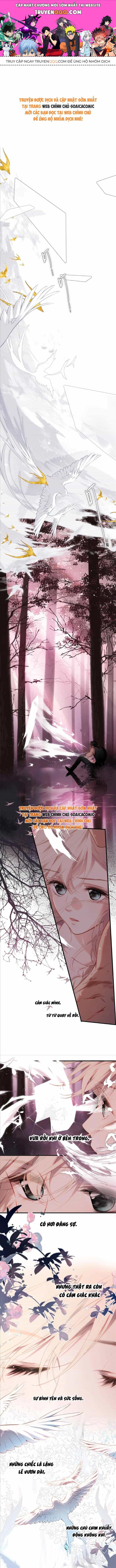 Tố Hồi Xuân Thời - Chương 37 - ảnh 1