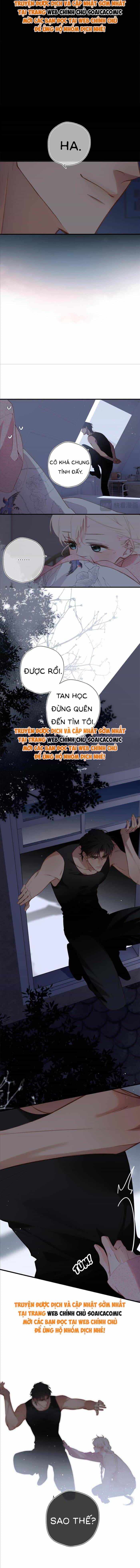 Tố Hồi Xuân Thời - Chương 40 - ảnh 3