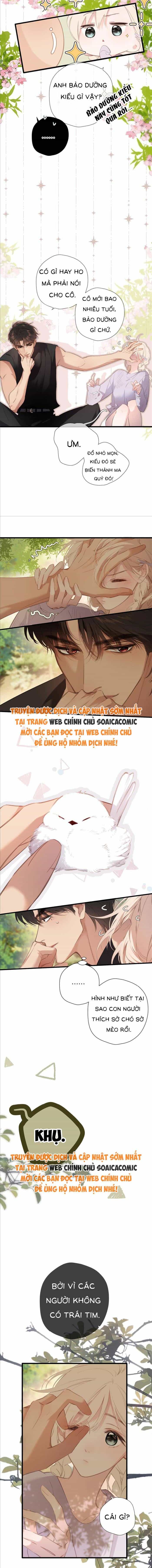 Tố Hồi Xuân Thời - Chương 51 - ảnh 3