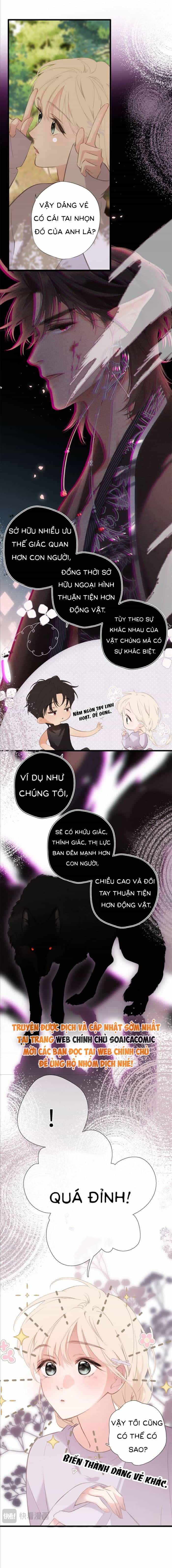 Tố Hồi Xuân Thời - Chương 51 - ảnh 5
