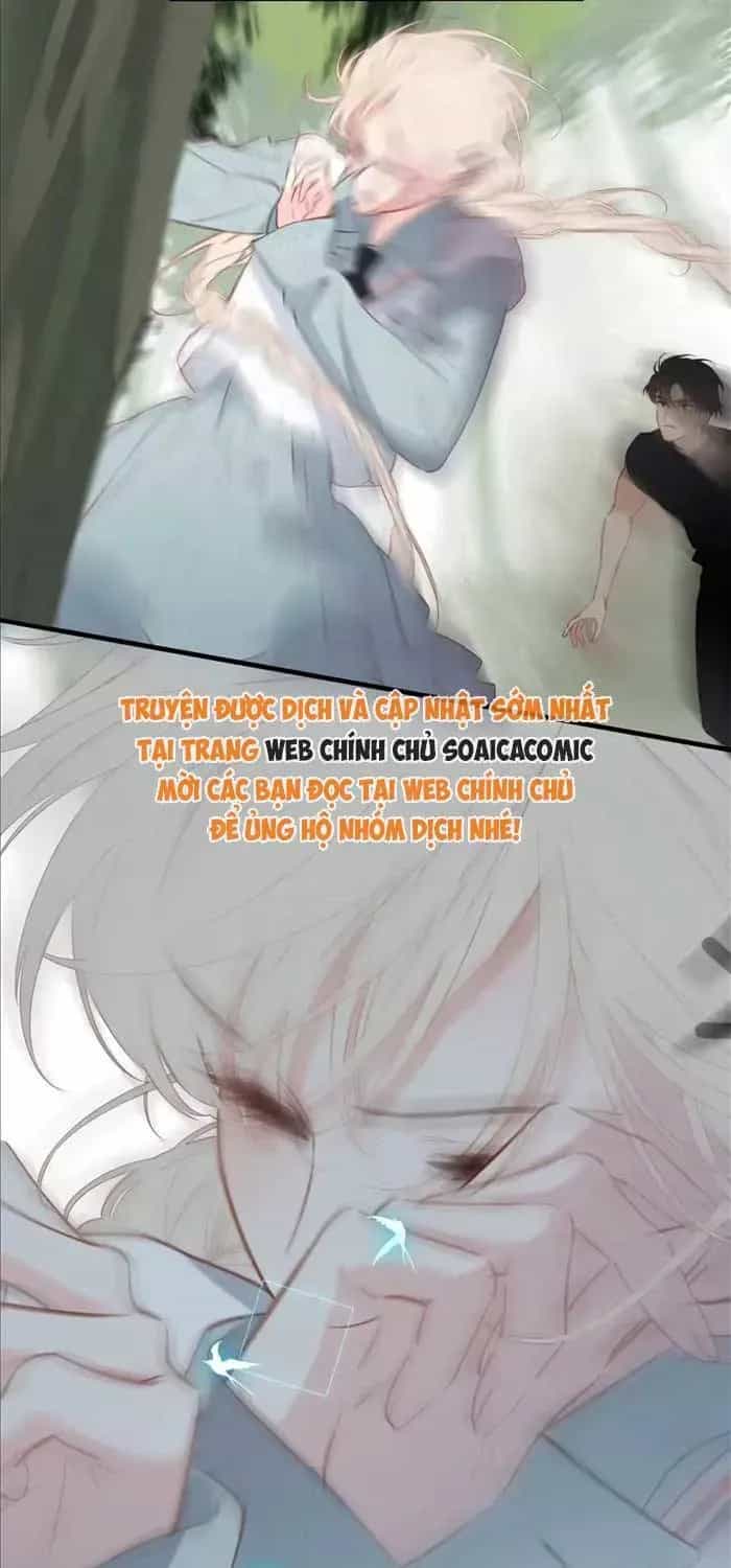Tố Hồi Xuân Thời - Chương 67 - ảnh 43