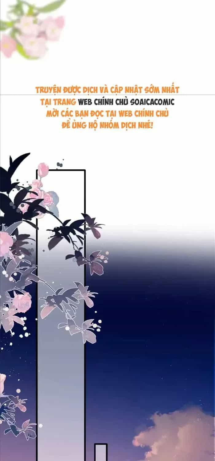 Tố Hồi Xuân Thời - Chương 67 - ảnh 62
