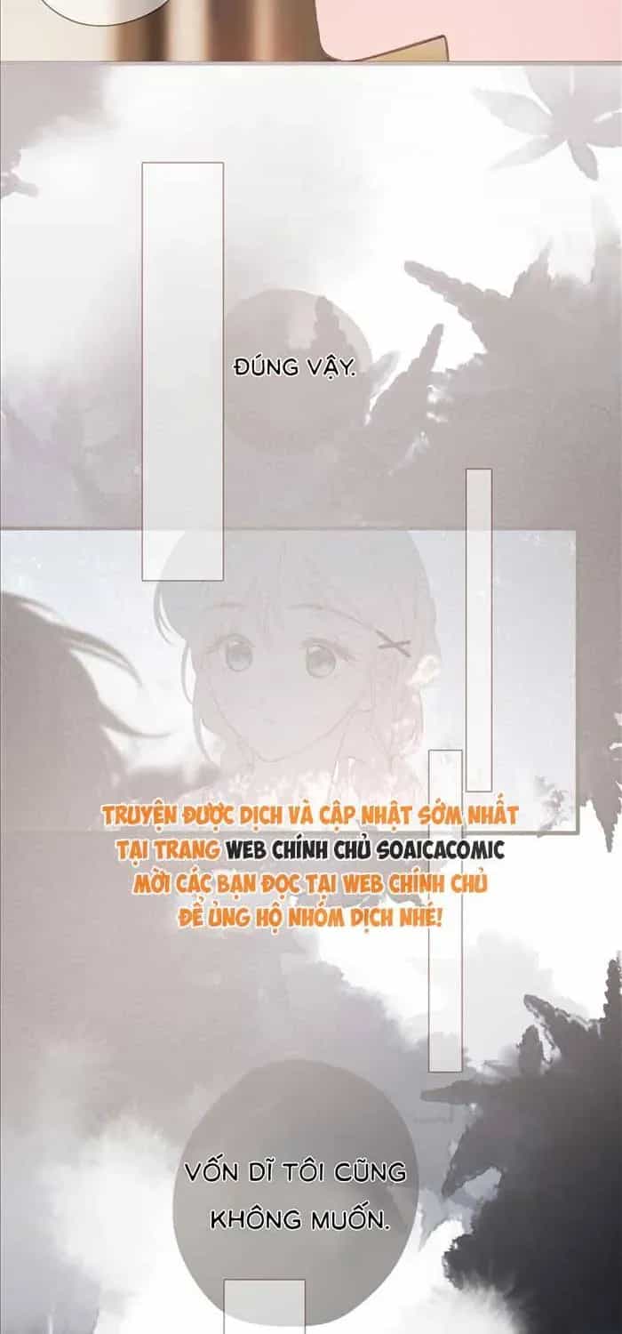 Tố Hồi Xuân Thời - Chương 68 - ảnh 34