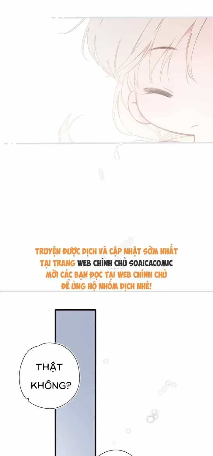 Tố Hồi Xuân Thời - Chương 69 - ảnh 24