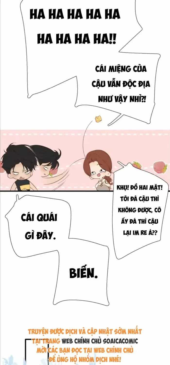 Tố Hồi Xuân Thời - Chương 72 - ảnh 21