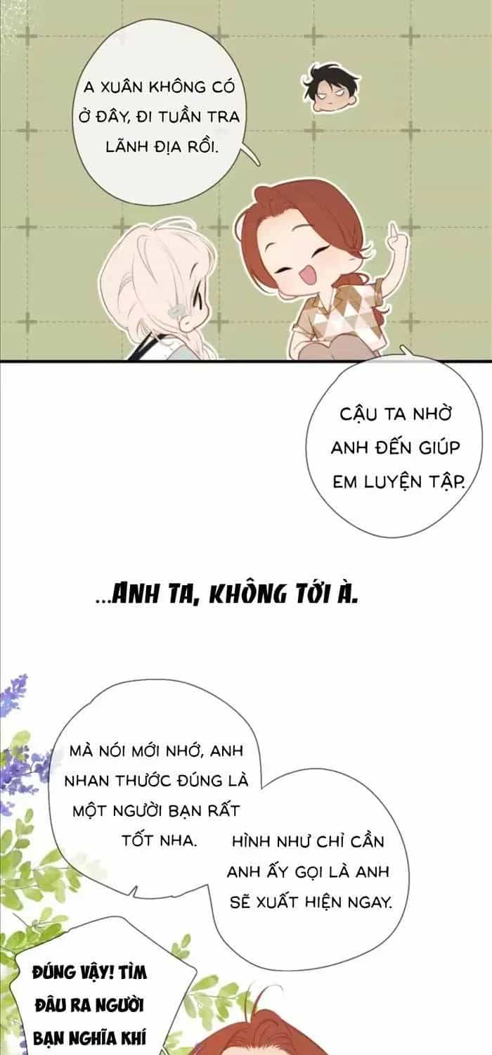 Tố Hồi Xuân Thời - Chương 72 - ảnh 28