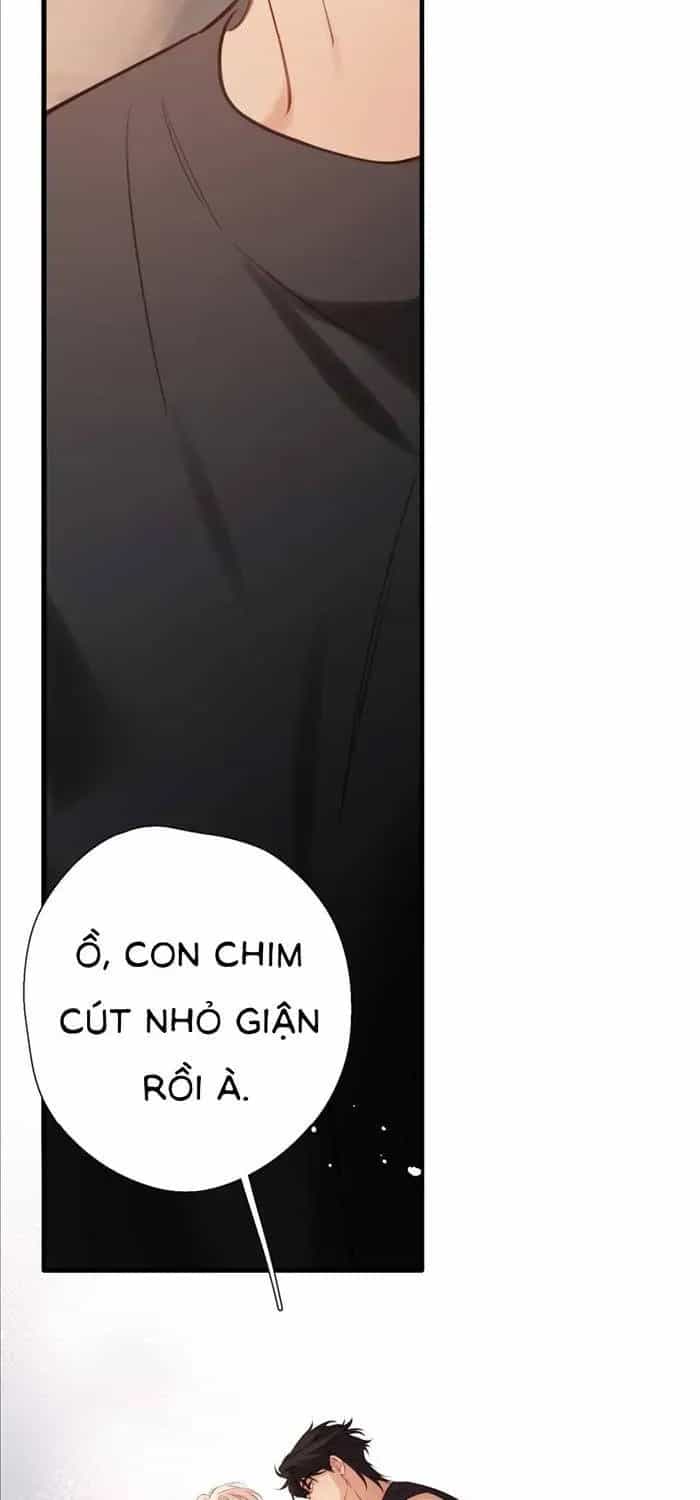 Tố Hồi Xuân Thời - Chương 72 - ảnh 9