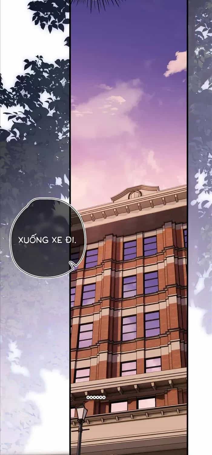 Tố Hồi Xuân Thời - Chương 73.1 - ảnh 12