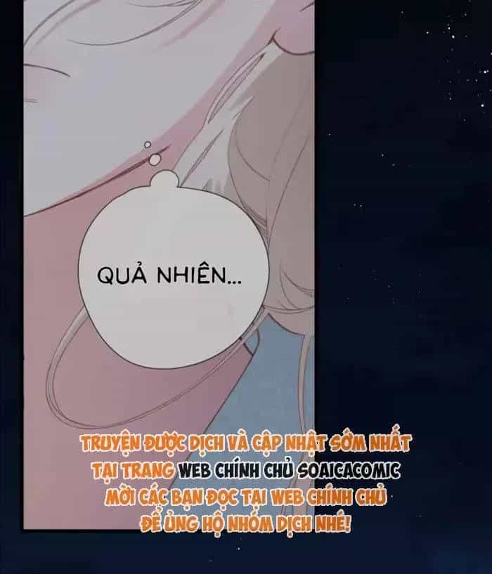 Tố Hồi Xuân Thời - Chương 73.2 - ảnh 22