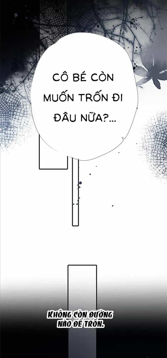 Tố Hồi Xuân Thời - Chương 74 - ảnh 11