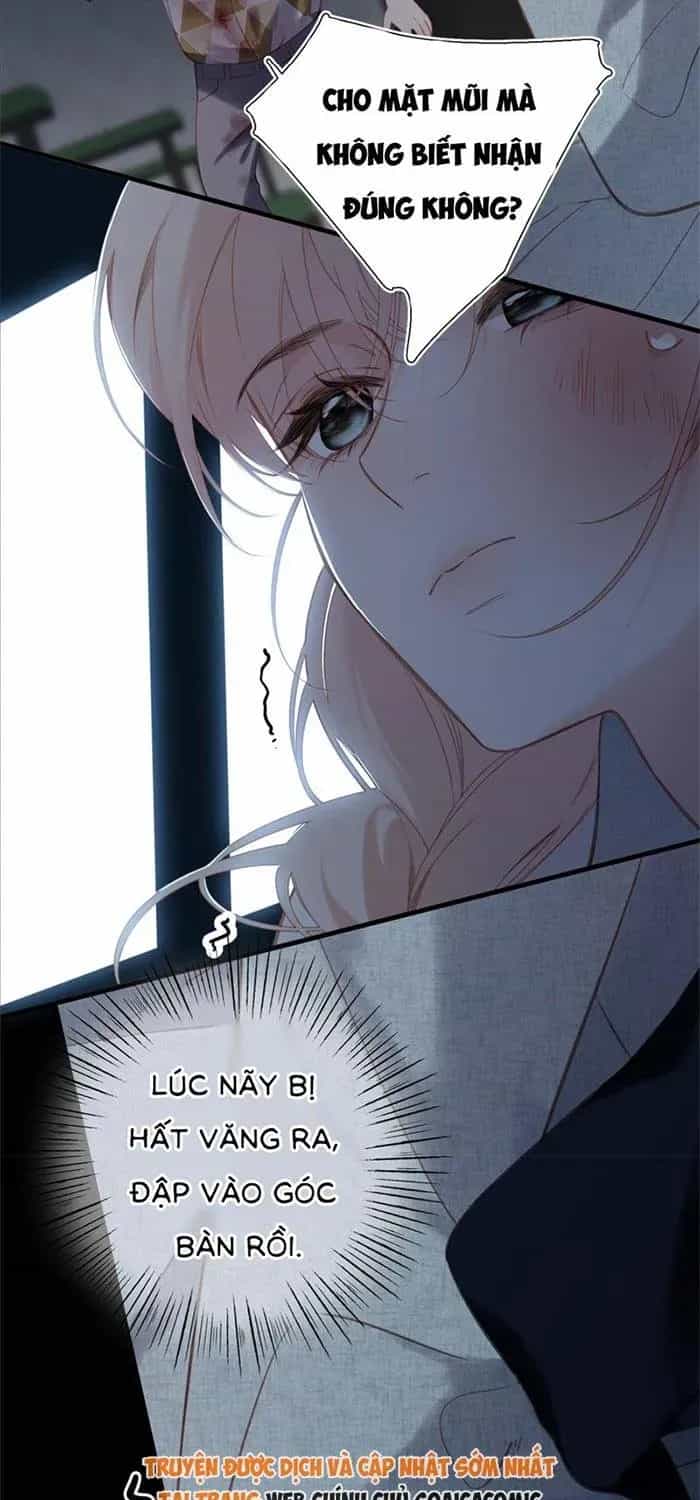 Tố Hồi Xuân Thời - Chương 74 - ảnh 35