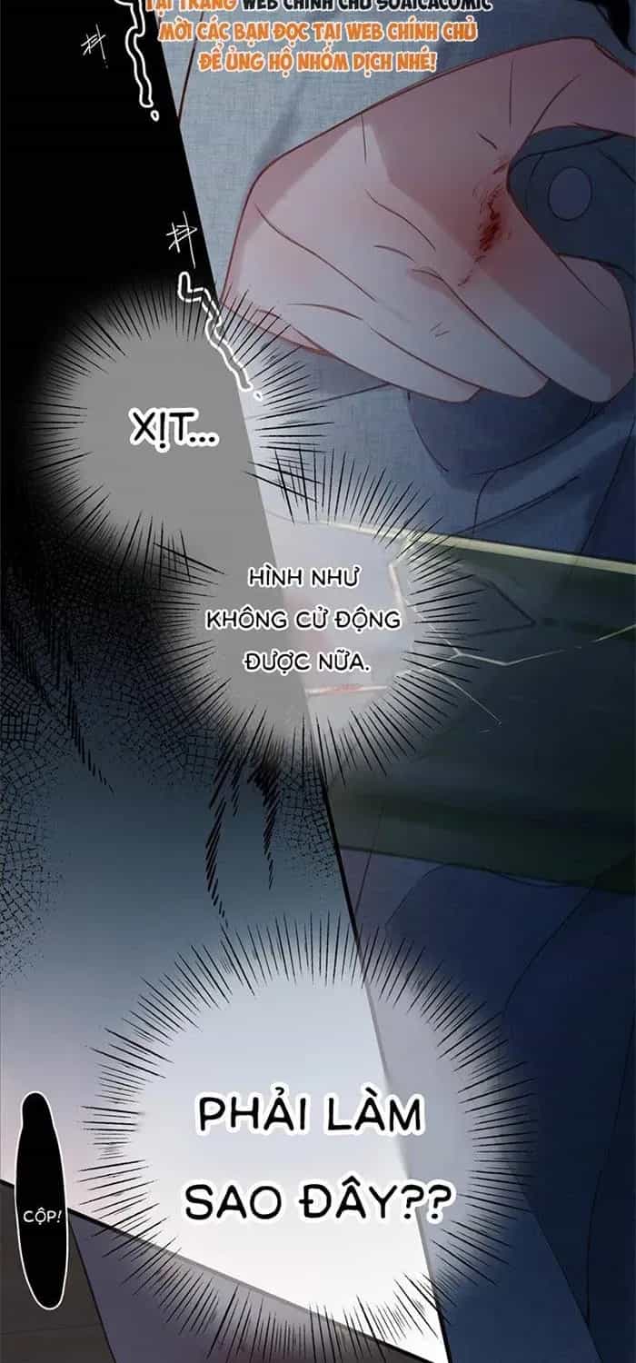 Tố Hồi Xuân Thời - Chương 74 - ảnh 36