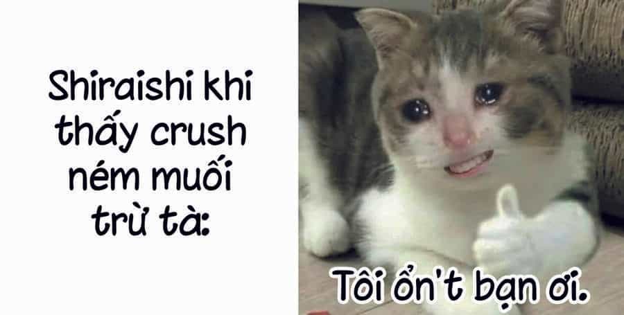 Tớ Không Thể Chạm Vào Cậu Được Nữa ~ Mou Furenai Kimi - Chương 23 - ảnh 9
