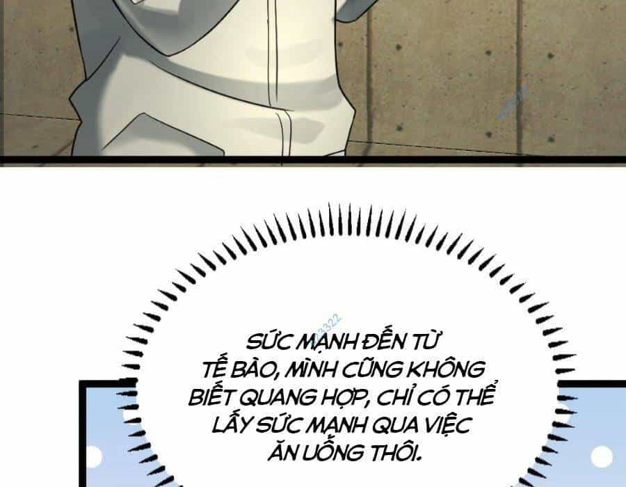 Toàn Cầu Băng Phong: Ta Chế Tạo Phòng An Toàn Tại Tận Thế - Chương 122 - ảnh 23