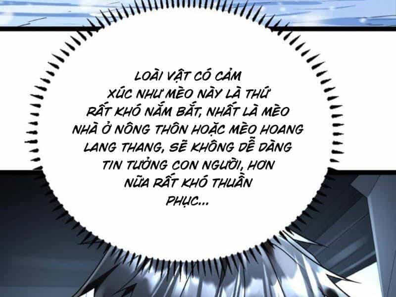 Toàn Cầu Băng Phong: Ta Chế Tạo Phòng An Toàn Tại Tận Thế - Chương 163 - ảnh 2