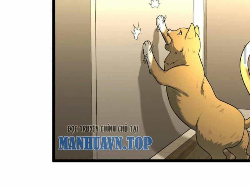 Toàn Cầu Băng Phong: Ta Chế Tạo Phòng An Toàn Tại Tận Thế - Chương 184 - ảnh 23
