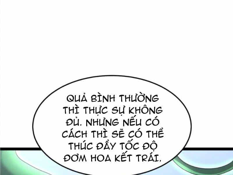 Toàn Cầu Băng Phong: Ta Chế Tạo Phòng An Toàn Tại Tận Thế - Chương 396 - ảnh 4