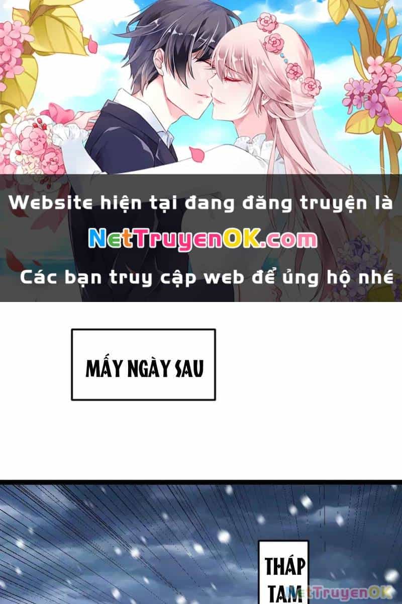 Toàn Cầu Băng Phong: Ta Chế Tạo Phòng An Toàn Tại Tận Thế - Chương 527 - ảnh 2