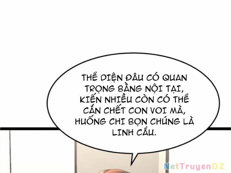 Toàn Cầu Băng Phong: Ta Chế Tạo Phòng An Toàn Tại Tận Thế - Chương 541 - ảnh 19