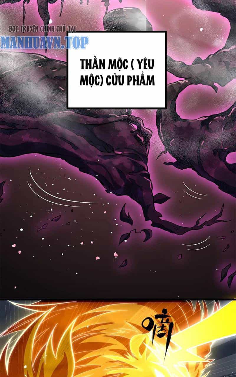 Toàn Cầu Cao Võ - Chương 249 - ảnh 44
