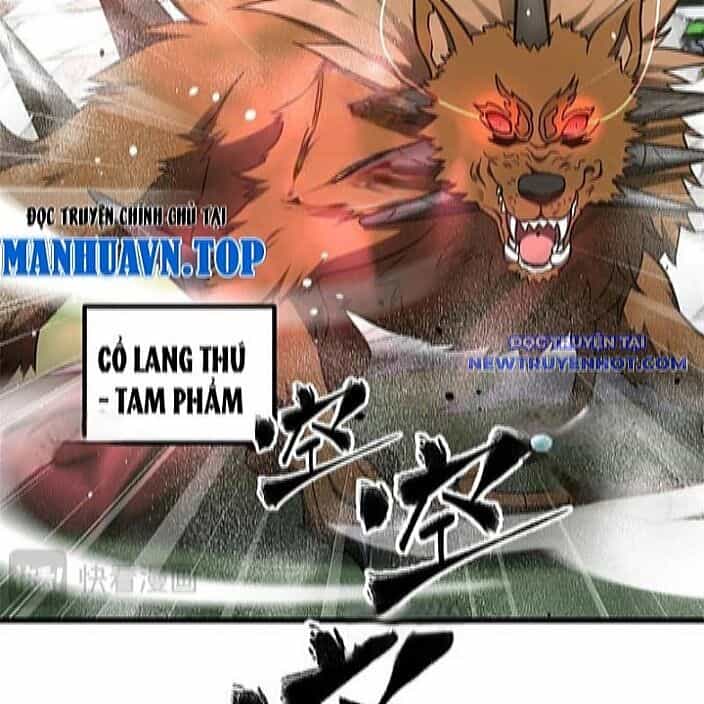 Toàn Cầu Cao Võ - Chương 298 - ảnh 21