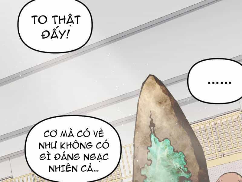 Toàn Cầu Ngự Thú: Ta Có Thể Thấy Lộ Tuyến Tiến Hoá - Chương 3 - ảnh 135