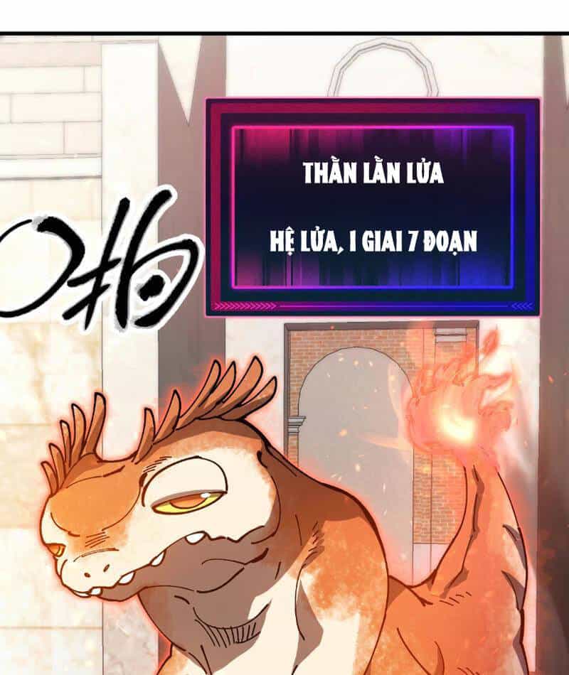 Toàn Cầu Ngự Thú: Ta Có Thể Thấy Lộ Tuyến Tiến Hoá - Chương 4 - ảnh 59