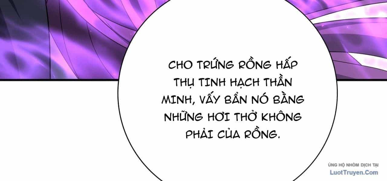 Toàn Dân Chuyển Chức: Ngự Long Sư Là Chức Nghiệp Yếu Nhất? - Chương 177 - ảnh 164