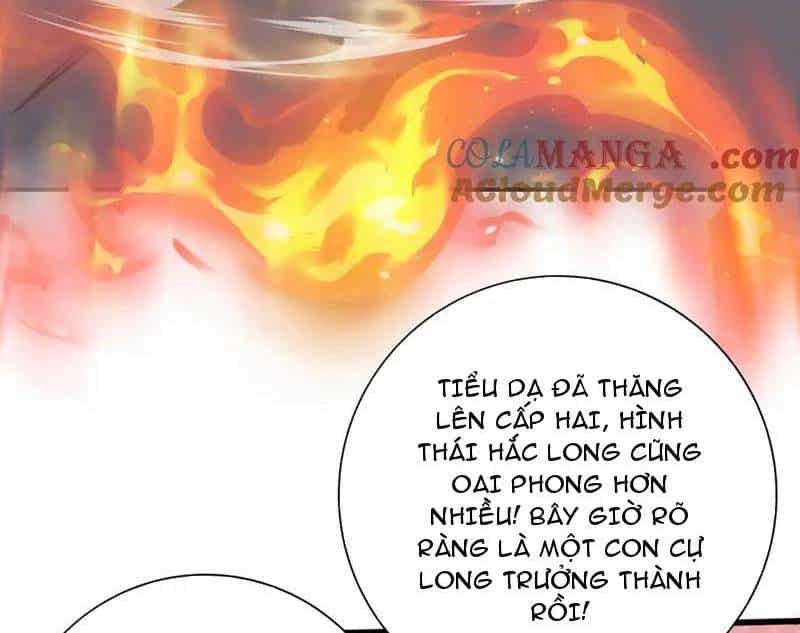 Toàn Dân Chuyển Chức: Ngự Long Sư Là Chức Nghiệp Yếu Nhất? - Chương 57 - ảnh 18