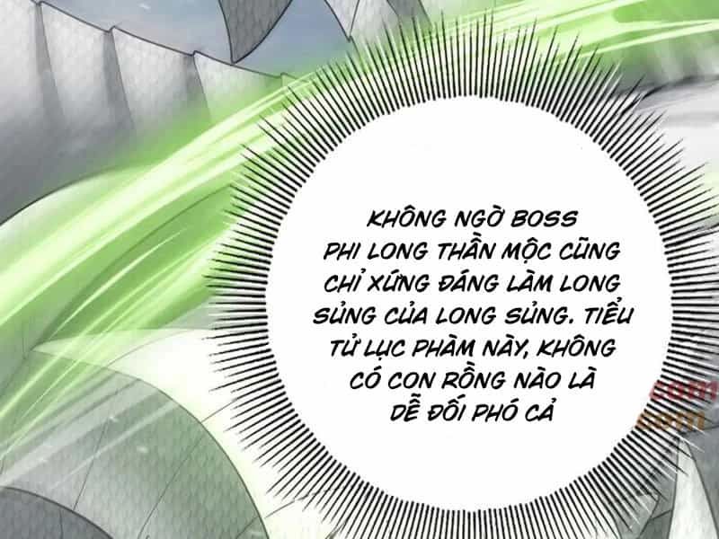 Toàn Dân Chuyển Chức: Ngự Long Sư Là Chức Nghiệp Yếu Nhất? - Chương 62 - ảnh 26