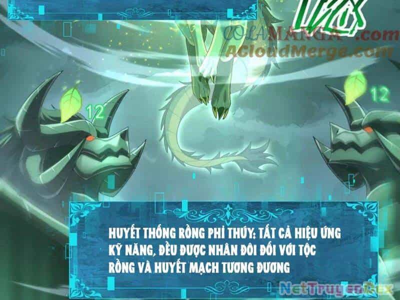 Toàn Dân Chuyển Chức: Ngự Long Sư Là Chức Nghiệp Yếu Nhất? - Chương 79 - ảnh 68