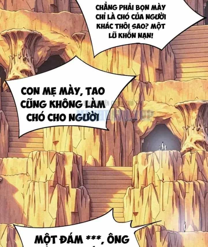 Toàn Dân Đoạt Tháp: Ta Đã Sớm Thông Qua Tầng 999 - Chương 46 - ảnh 82