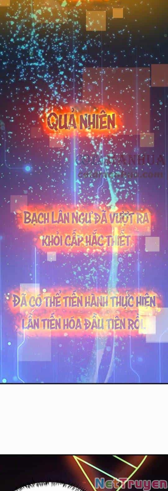 Toàn Dân Ngự Thú: Bắt Đầu Thức Tỉnh Thiên Phú Cấp Thần Thoại - Chương 12 - ảnh 21