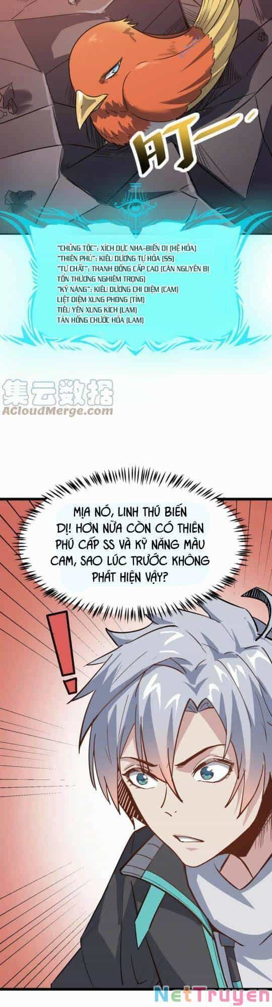 Toàn Dân Ngự Thú: Bắt Đầu Thức Tỉnh Thiên Phú Cấp Thần Thoại - Chương 16 - ảnh 37