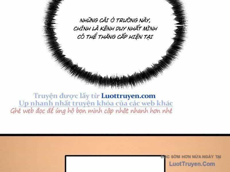 Toàn Năng Giác Tỉnh Sư - Chương 34 - ảnh 12