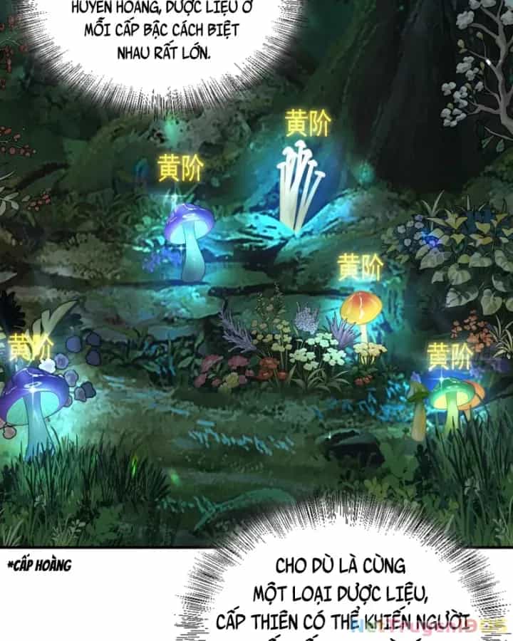 Toàn Trí Tu Tiên Giả - Chương 33 - ảnh 26