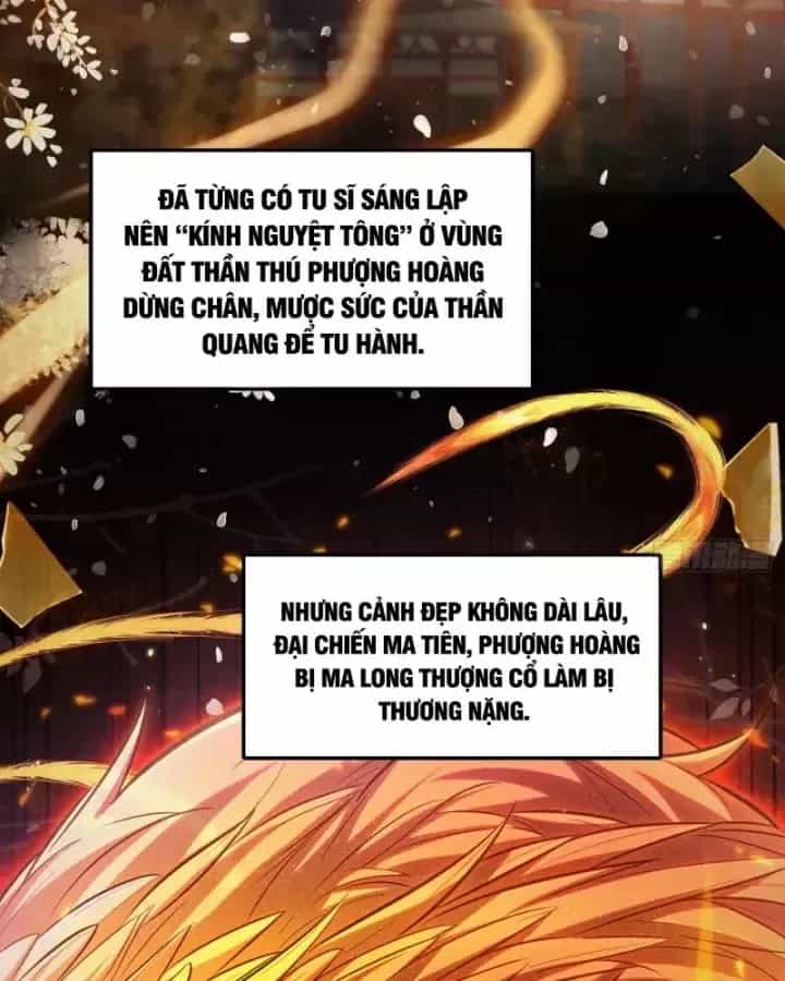 Toàn Trí Tu Tiên Giả - Chương 48 - ảnh 5