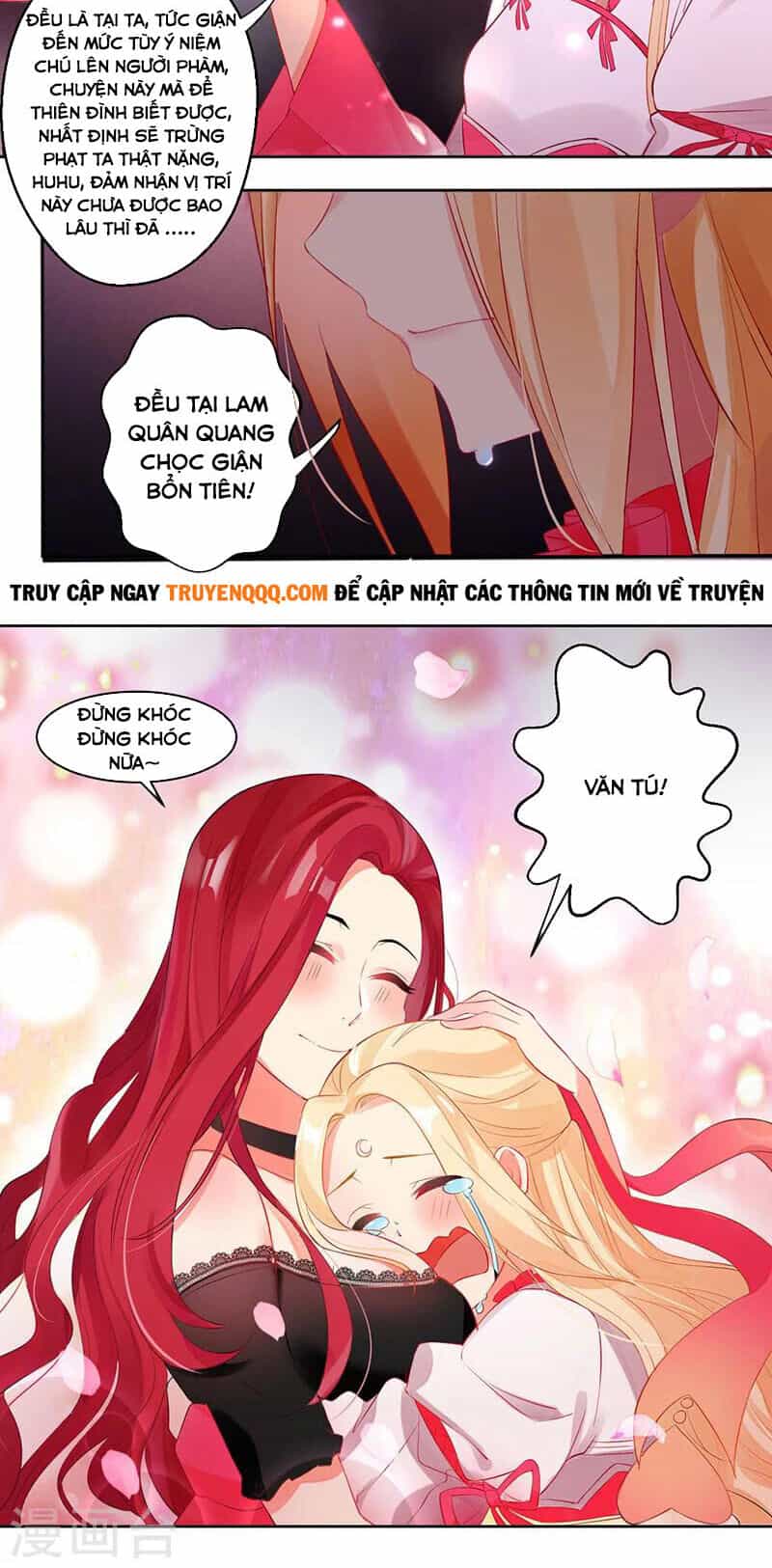 Toang Rồi! Nguyệt Lão Động Tâm Rồi - Chương 4 - ảnh 8
