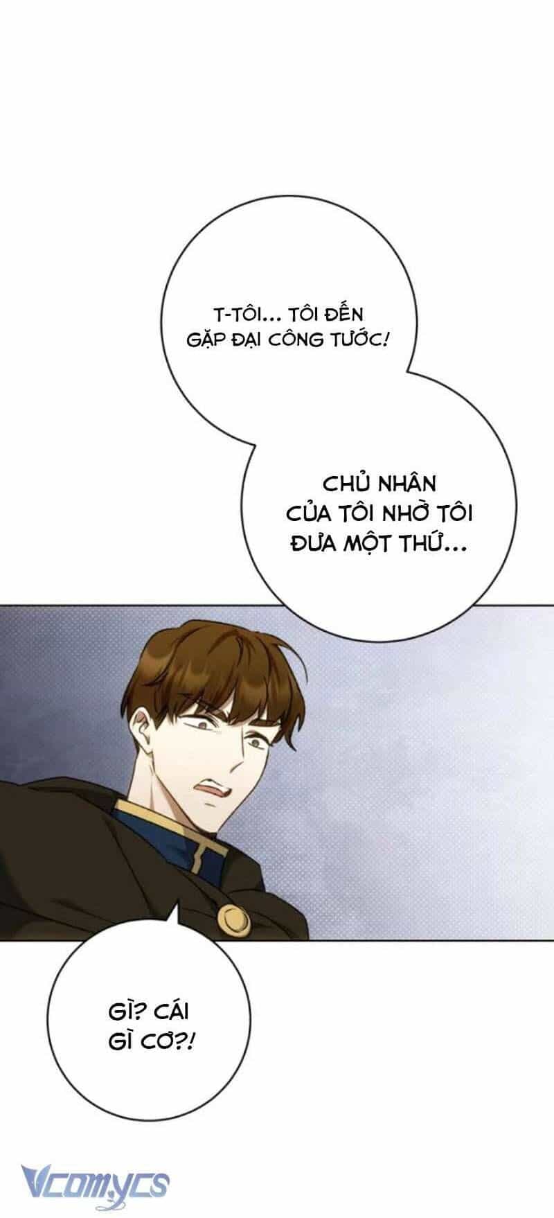 Tôi Bị Giật Chồng Những Hai Lần - Chương 8 - ảnh 13