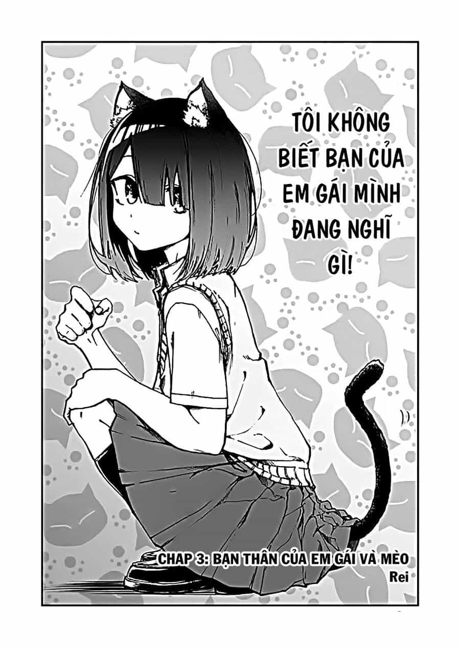 Tôi Chẳng Hiểu Cô Bạn Của Em Gái Tôi Đang Nghĩ Gì! - Chương 3 - ảnh 3