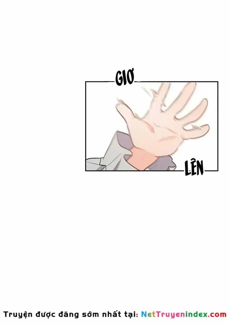 Tôi Chỉ Là Một Tiểu Thư Bình Thường - Chương 198 - ảnh 117