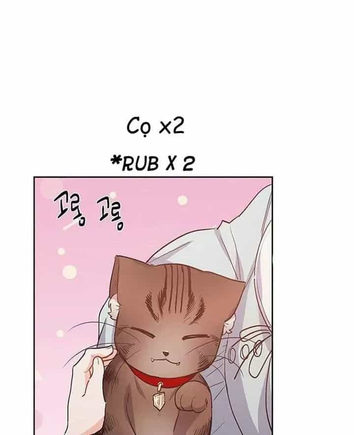 Tôi Chỉ Là Một Tiểu Thư Bình Thường - Chương 199 - ảnh 96