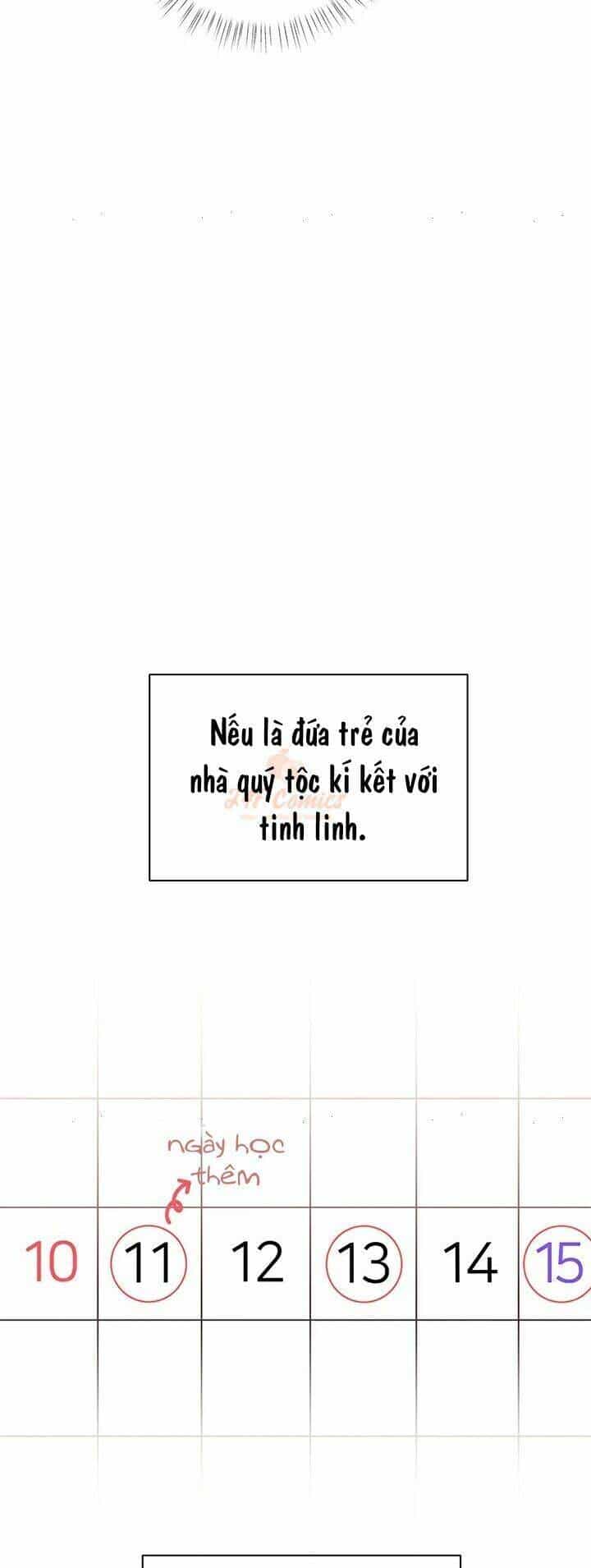 Tôi Chỉ Là Một Tiểu Thư Bình Thường - Chương 32 - ảnh 23