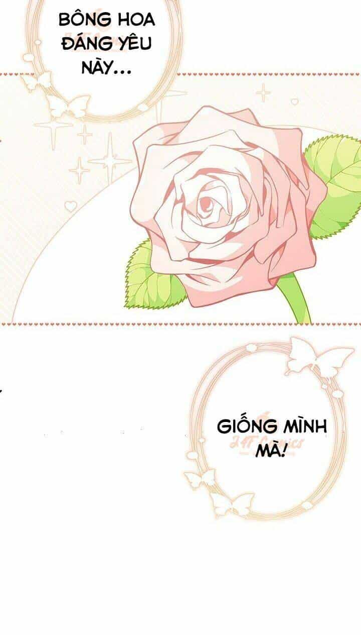 Tôi Chỉ Là Một Tiểu Thư Bình Thường - Chương 37 - ảnh 10